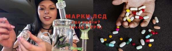 дурь Алзамай