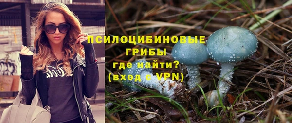 дурь Алзамай