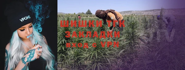 дурь Алзамай
