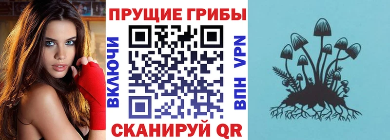Псилоцибиновые грибы прущие грибы  как найти закладки  Енисейск 