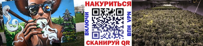 Бошки марихуана Amnesia Енисейск